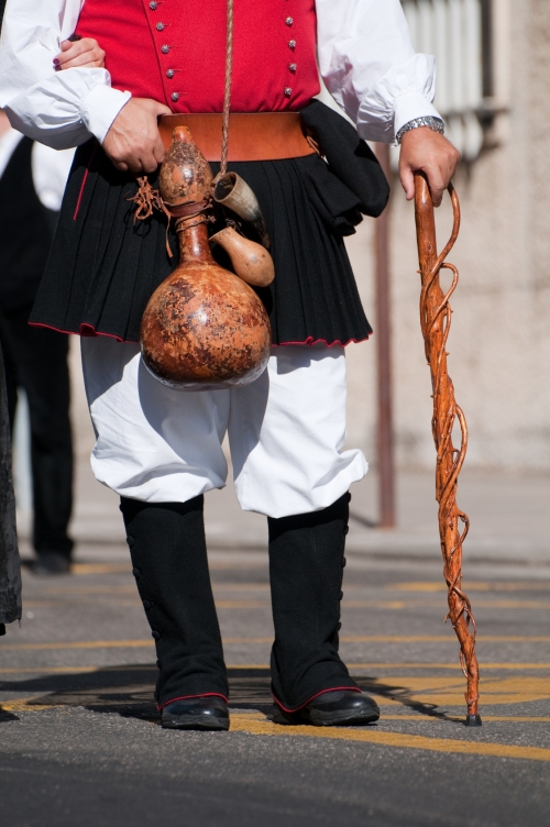 I costumi tipici sardi della Festa di Sant'Efisio